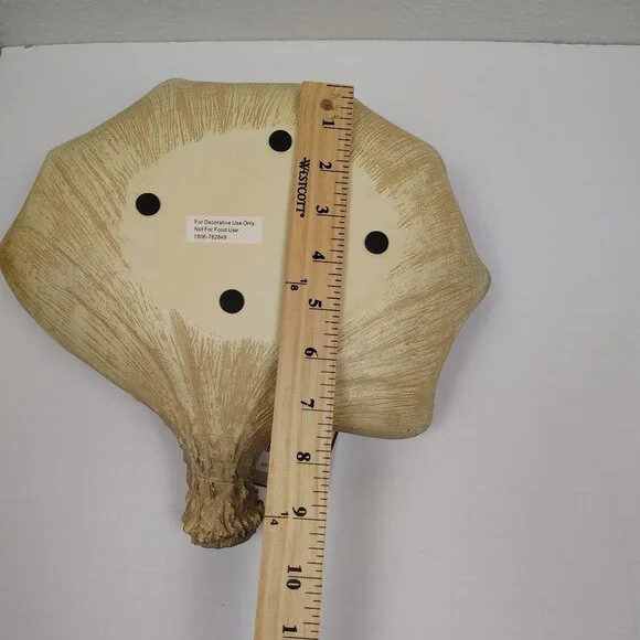 Red Shed Moose Antler Bowl Home Decor Cabin Rustic Hunting Gift - Picture 8 of 8